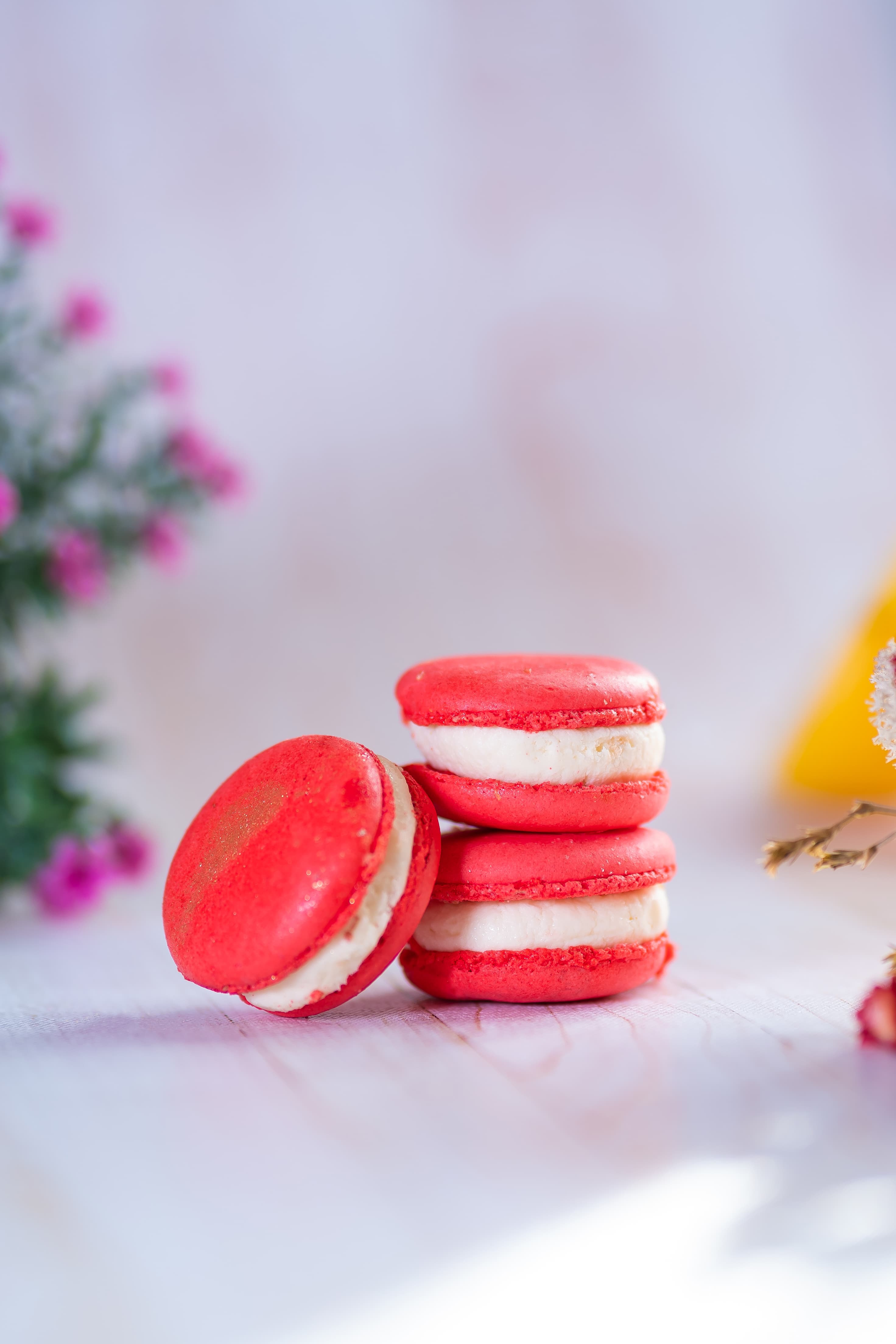 Macarons Marc de Champagne — MAYARONS