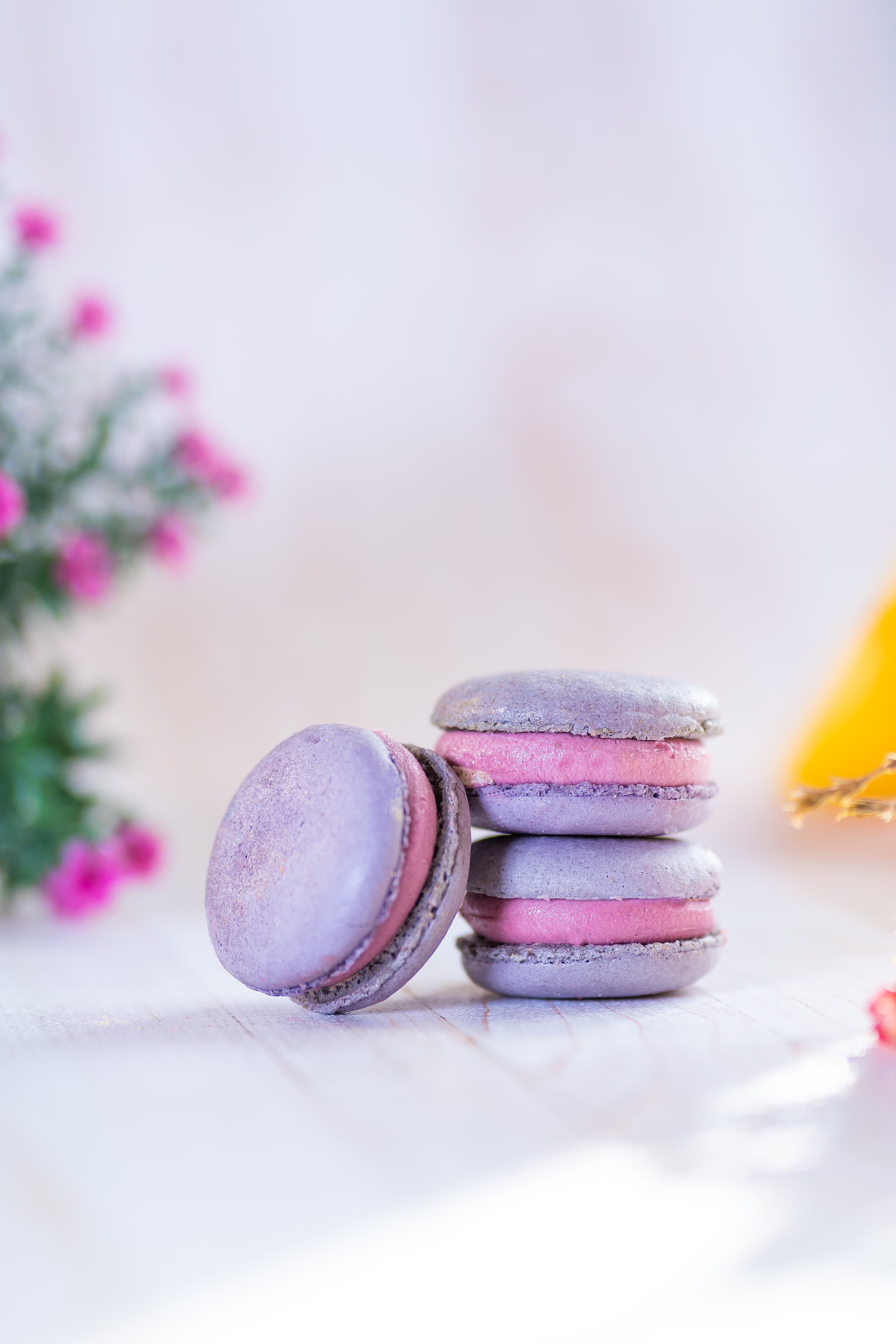 Macarons BlueBerry — MAYARONS
